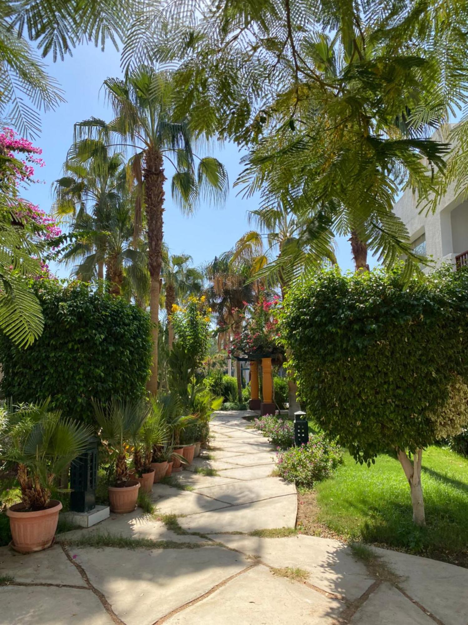 Delta Sharm Apartment ภายนอก รูปภาพ