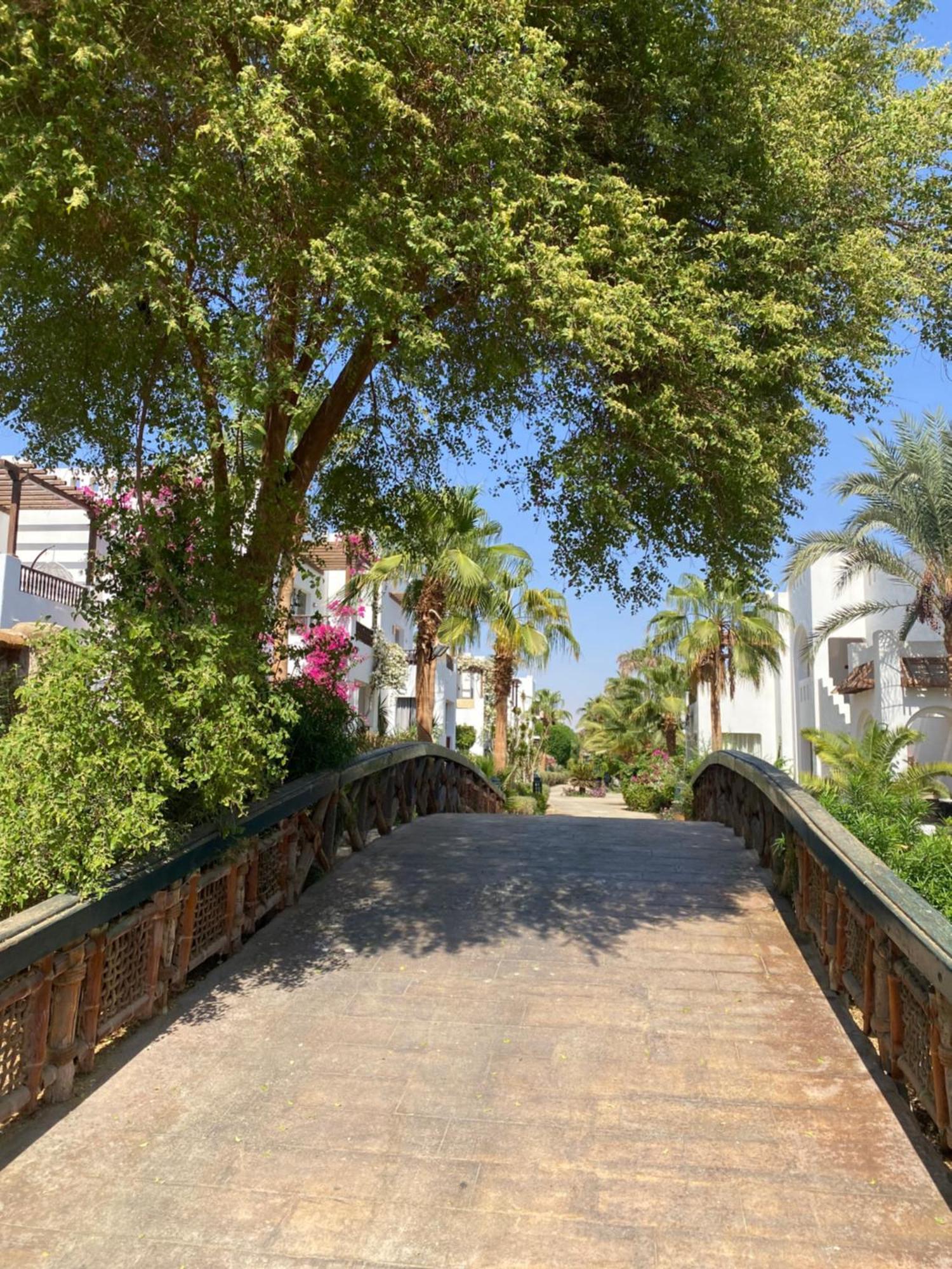 Delta Sharm Apartment ภายนอก รูปภาพ